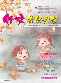 作文成功之路·小学杂志