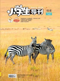 小学生导刊·中年级杂志